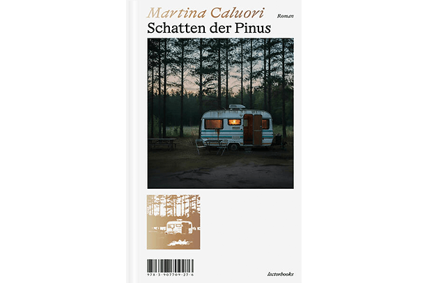 Schatten der Pinus