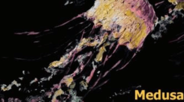 Heidi Gürtler & Heidi’s Heroes: «Medusa»
